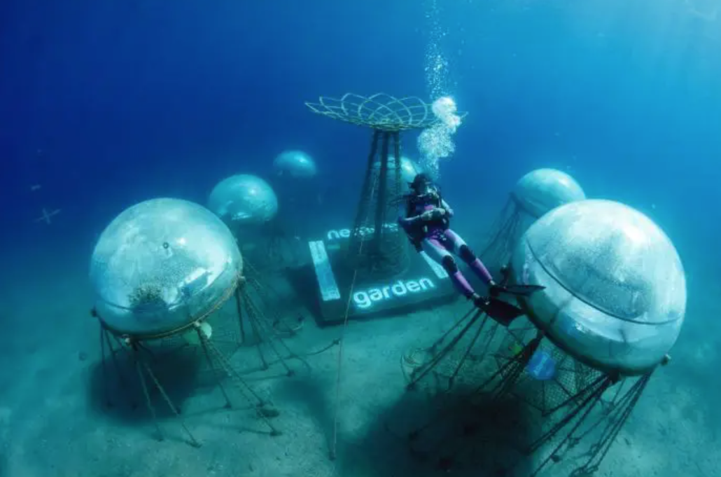 Nemo’s Garden, when agriculture moves underwater