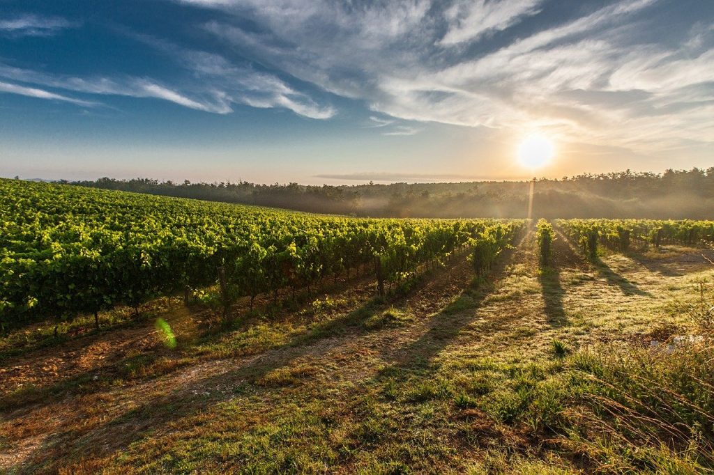 agricultural land