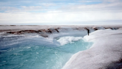 greenland-glaciers