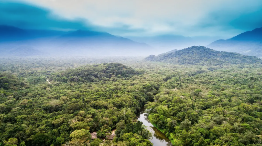 Amazon rainforest dieback