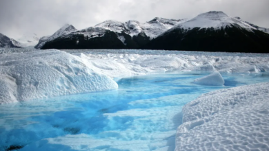 Melting sea glaciers