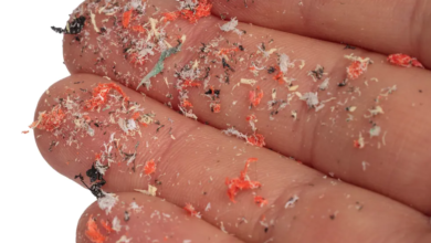 Microplastics