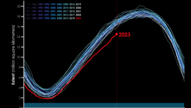 sea ice in Antarctica