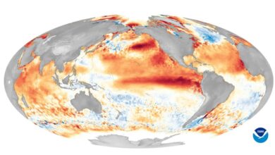 impact of El Niño