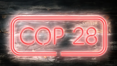 Cop28 on climate