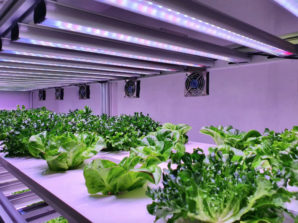 Biolelectronic hydroponics