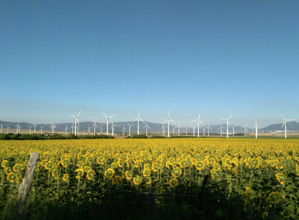 Renewable electricity EU