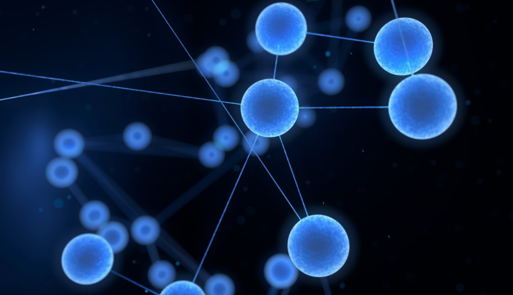 biological thermosetting polymers