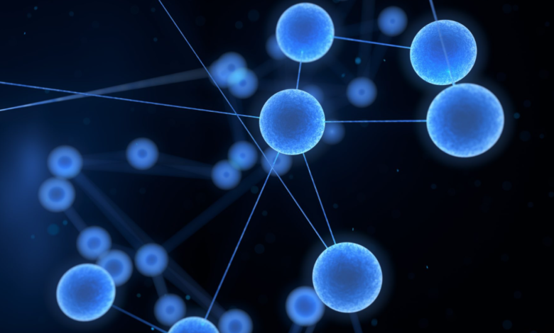 biological thermosetting polymers